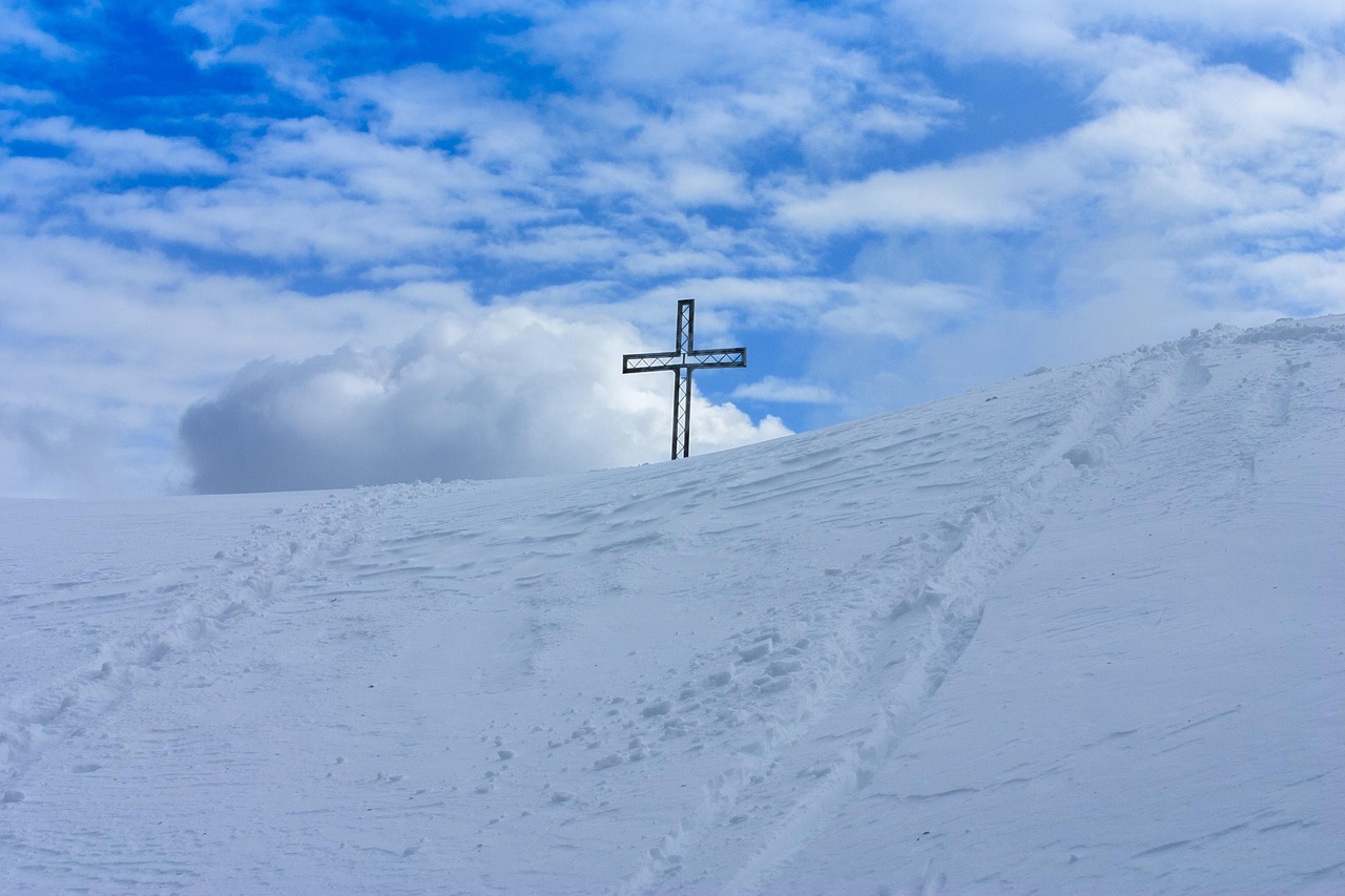 铁塔猫奶油爆珠(粗):注册滴滴账号怎么查询