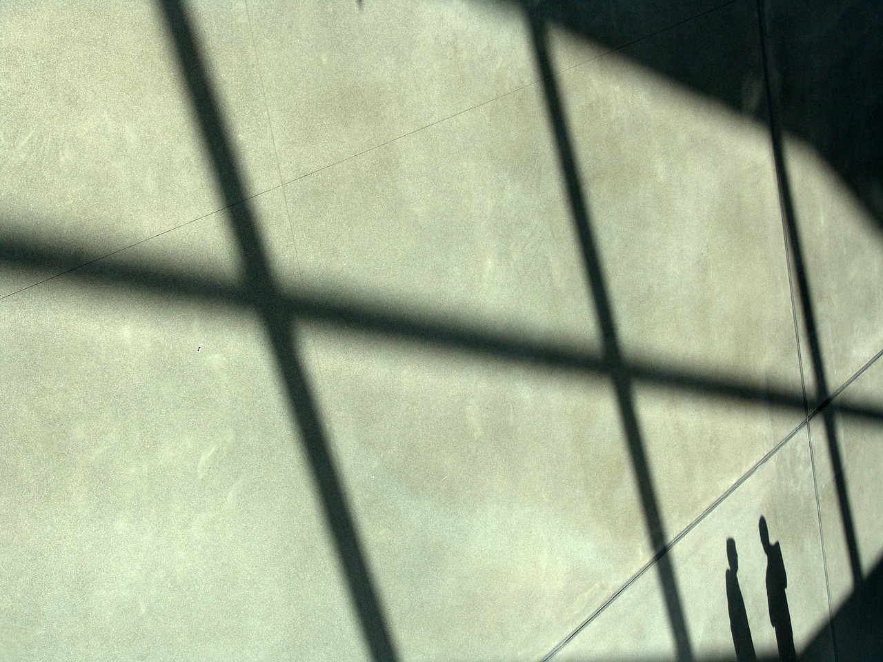 航海王强者之路：神佑奇迹app详情下载教程