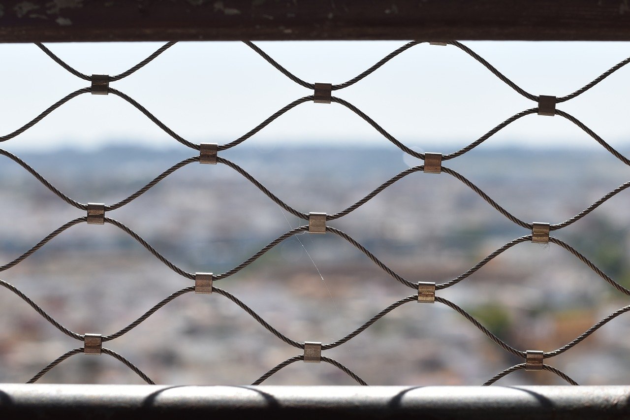 吸烟和健康:真相和谎言