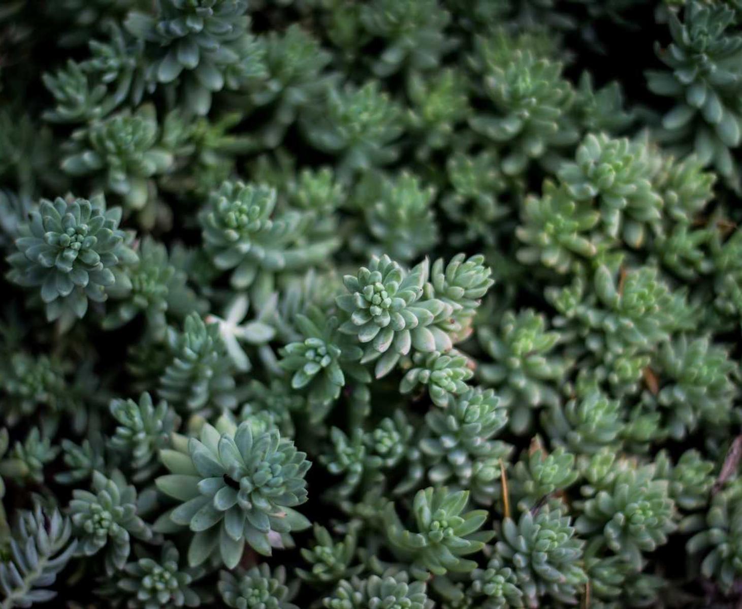 在设计过程中如何考虑SEO？