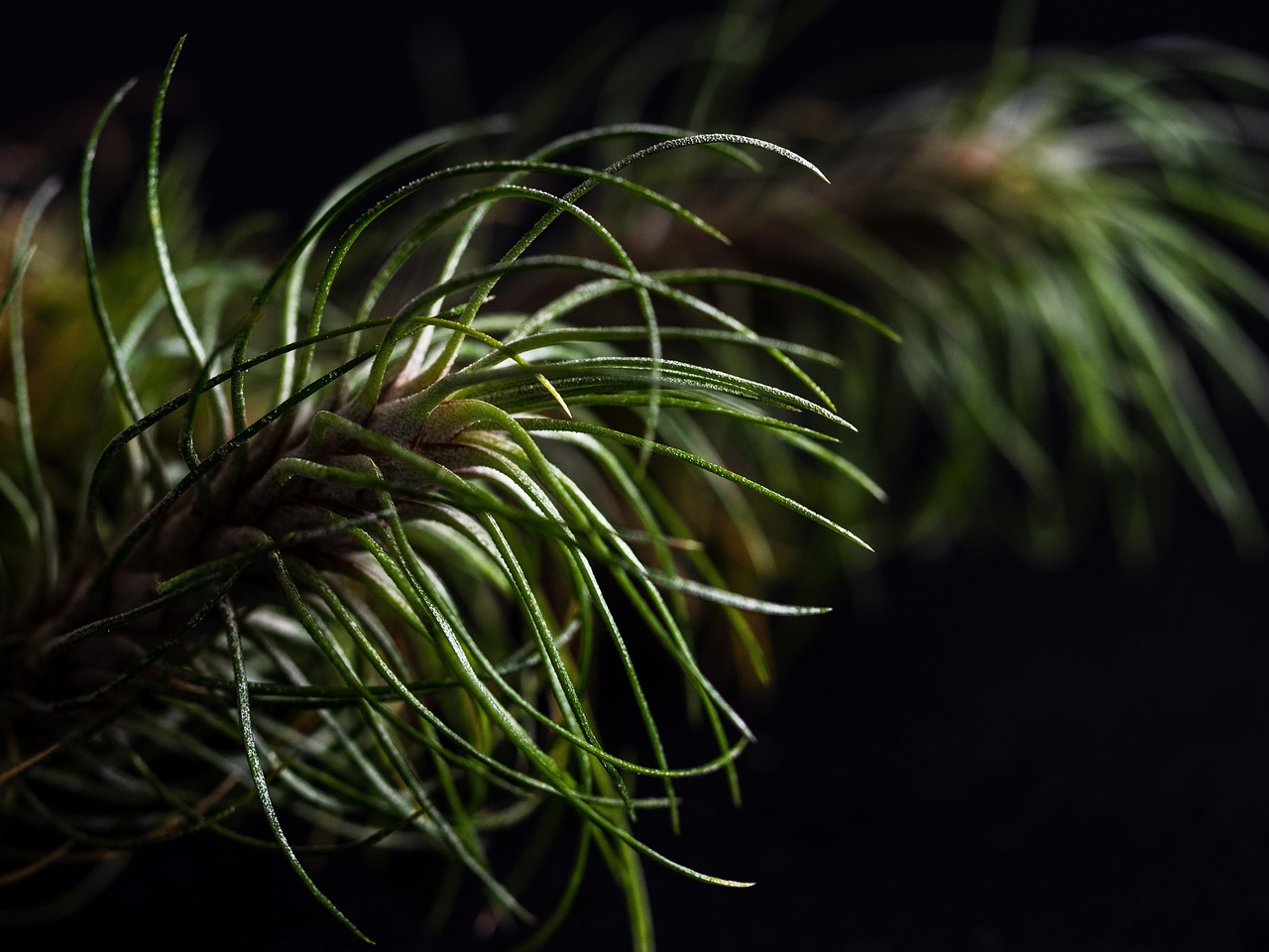 提速啦实名账号：泉州原油期货开户正规平台