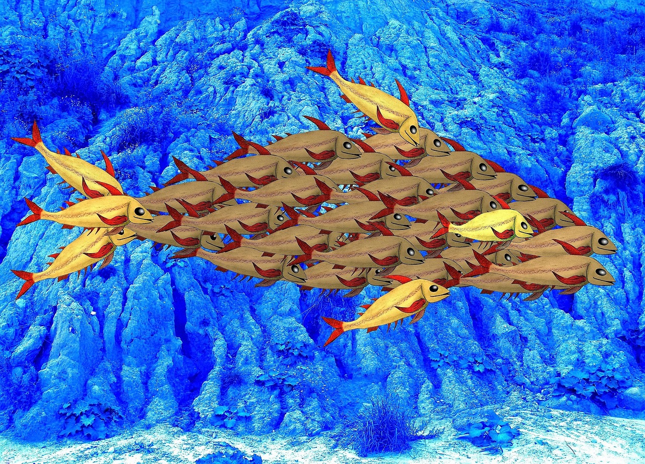 聚名实名账号：购买水箱在哪个平台