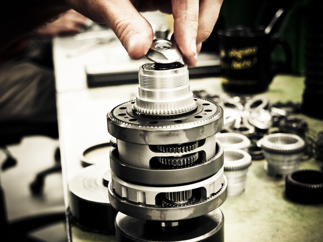 定制实名认证账号：详情下载教程鱼博士app详情下载教程